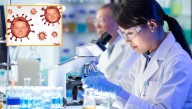 Scientists Warn Of Rapidly Spreading 'Musk Derangement Syndrome'