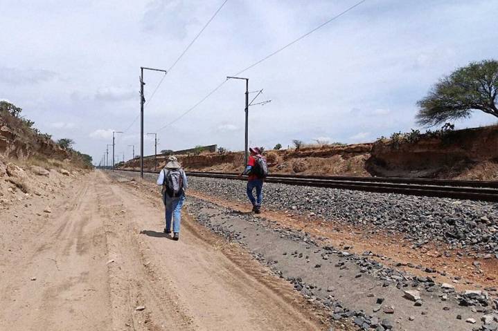 Los trenes de Sheinbaum desentierran 203 sitios arqueológicos