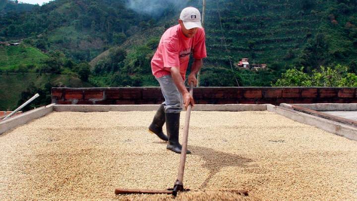 Producción de la industria creció 5,8% en julio, ¿qué la impulsó?