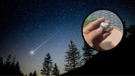 Joven asegura que parte de un meteorito cayó en su casa y ahora tiene una extraña criatura