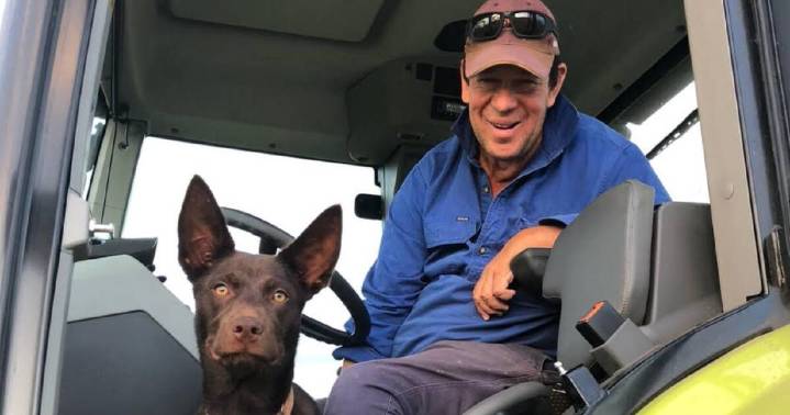 A tsunami of tributes for disability advocate Sam Bailey