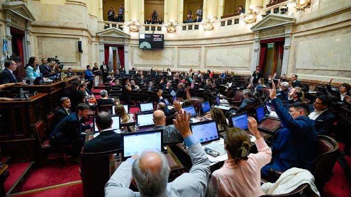 Uno por uno, cómo votó cada senador en la sesión que rechazó al veto de Javier Milei a la ley de los ATN
