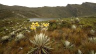 Cerca de Bogotá se encuentran las Lagunas de Siecha; uno de los secretos mejor guardados de Cundinamarca