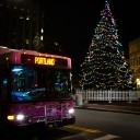 Portland is looking for the perfect holiday tree for Monument Square