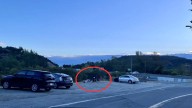 California Couple Stunned To Stumble Upon 5 Fluffy Babies Abandoned In A Parking Lot Steps In To Help