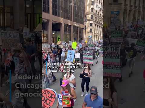 Chicago protesters clash with federal agents over Donald Trump immigration policies, ICE presence