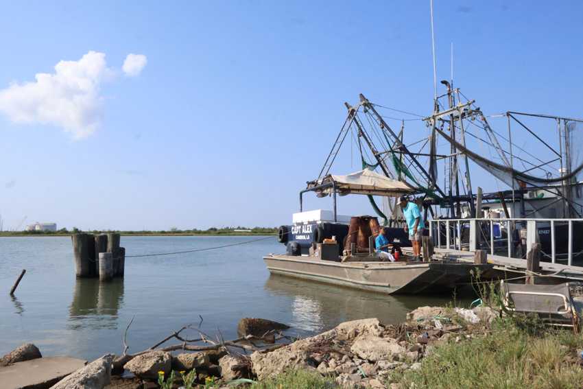 Deepwater Horizon settlement will pay to restore Cameron Parish marshlands