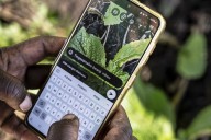 How Malawi is taking AI technology to small-scale farmers who don’t have smartphones – Winnipeg Free Press