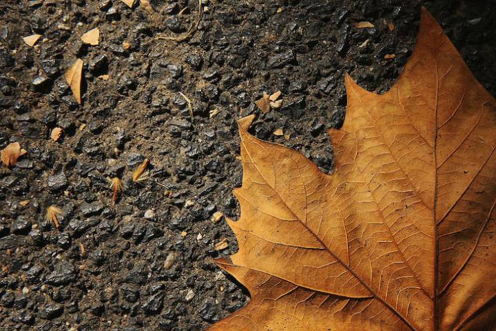 Why September 1 is the worst day of the year