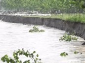 Sutlej river changes course, swallows 38 acres of farmland; Ludhiana DC seeks Army help to check erosion [ FULL VIEW ]