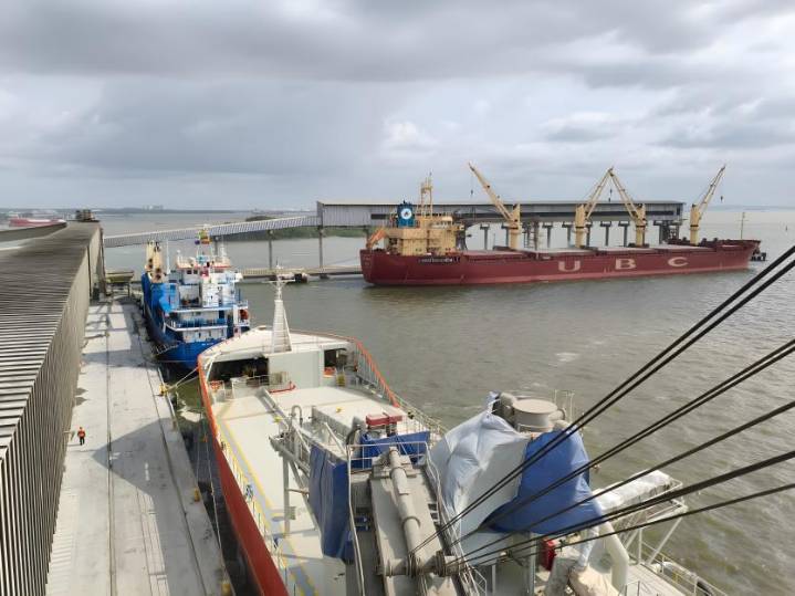 De la mina al mercado: así viajan 3,5 millones de toneladas de cemento al año desde el puerto de Argos