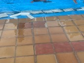 Queja  sobre el estado  de la piscina San Fernando (Reportaje fotográfico)