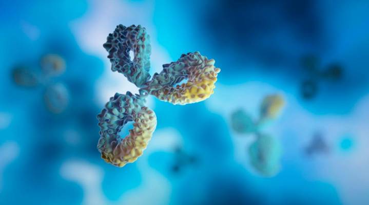 The $40 Billion Race: Bispecific Antibodies Are Redefining Cancer Therapy