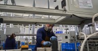 El problema del lento crecimiento: mecanismos para enfrentar la adversidad