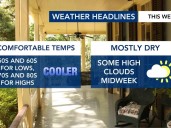False fall returns: Cooler, comfortable start to the week before a gradual warm