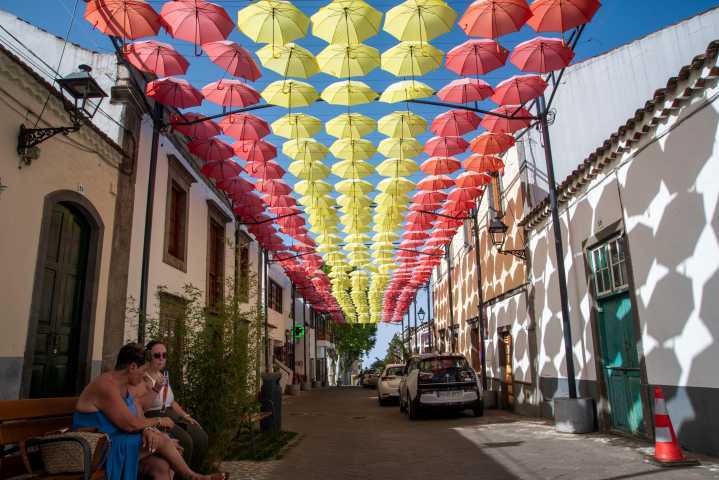 22 muertes por el calor en agosto en Canarias y 2.177 en todo el país