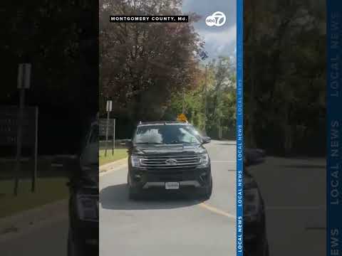 Real Housewives star Karen Huger waves to crowd after release from Maryland jail