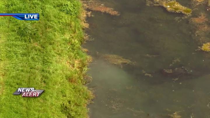 1 injured after vehicle crashes into canal in SW Miami