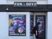 Judge to deliver 'magic mushrooms' ruling without accused in court