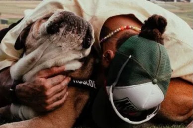 Heartbroken Lewis Hamilton reveals beloved dog Roscoe has died days after he pulled out of Ferrari test to be with sick pet