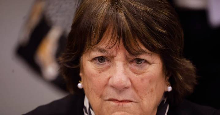 Delpiano sale al paso de críticas por sus dichos sobre la CAM: “Señalé claramente que hay terrorismo en La Araucanía”