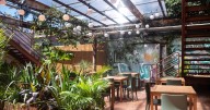 Savannah dining scene grows with Lucia, Untitled and more