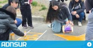 “Insistí en pedir un Uber”: el testimonio de la sobrina de Maira Remolcoy, a un mes del choque fatal