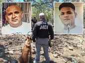 Identifican a padre e hijo en narcofosas de El Willy