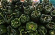 Chile poblano más barato en Saltillo; inicia Profeco monitoreo por fiestas patrias