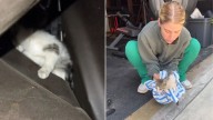 California Woman Spots Tiny Shadow In Her Garage And Uncovers A Heart