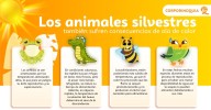 Impactantes Efectos del Calor en la Fauna Silvestre