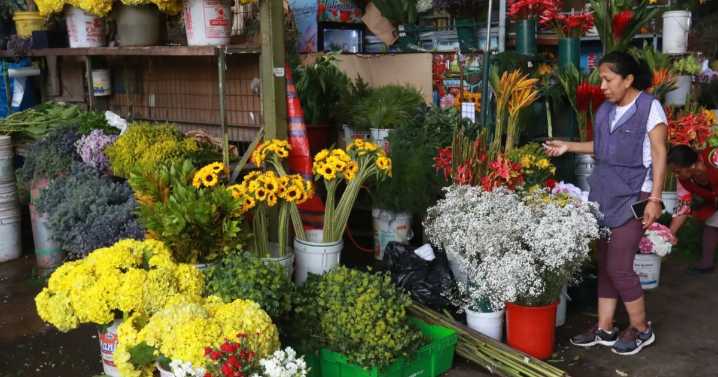 Clausuran mercado de flores en el Rímac antes del Día de la Primavera y pérdidas llegan a S/20 mil: ¿qué dice la municipalidad sobre esta medida?