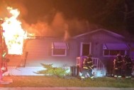Fire rips through Wilhelm Street homes two bodies found