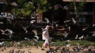 Confirmado por el BOE: Hacienda pagará 4.000 euros a estos jubilados como devolución del IRPF