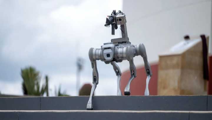 Perro robot vigilará Zacatecas; puede portar armas y realizar rescates
