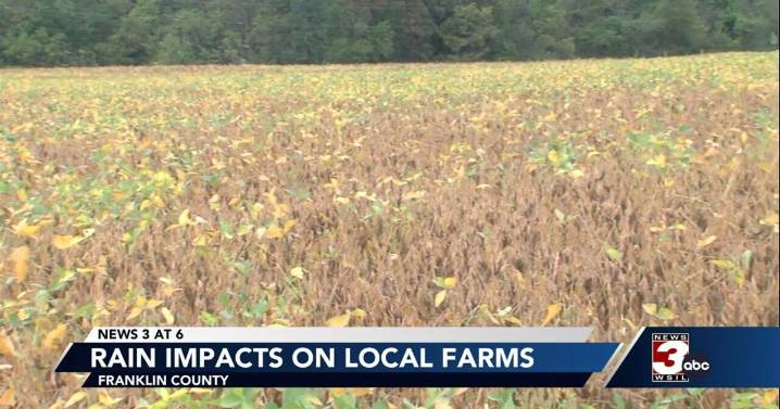Drought-breaking rain brings some relief to farmers