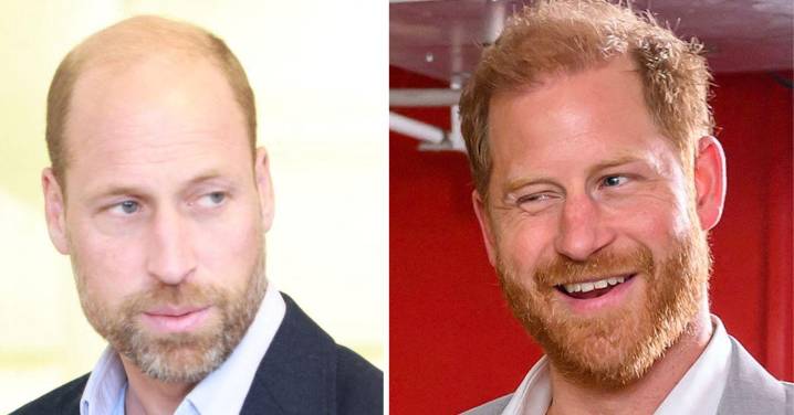 Prince William 'Had No Idea' About Harry's Meeting With Dad Charles
