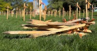 Indigenous community members concerned after crosses pulled from memorial display in Kitchener park