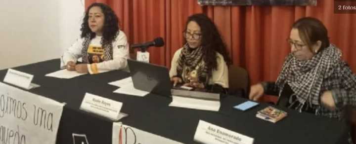 Colectivos piden a nueva titular de la CNB contratar peritos independientes para búsquedas (Video)