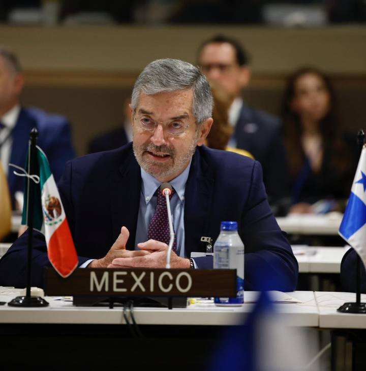 Apuestan AL y el Caribe por la paz: canciller De la Fuente