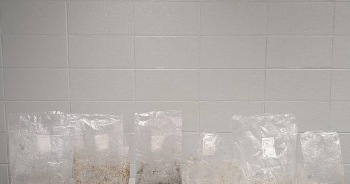 Marshall Man Arrested on Drug Charges