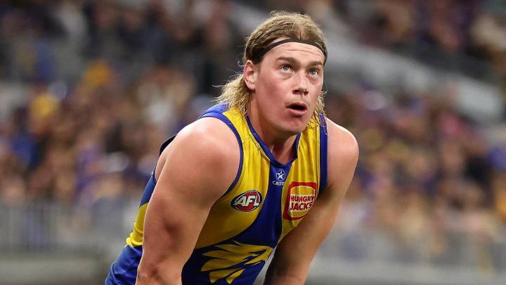 AFL 2025: West Coast Eagles finalise list assistance request, first round draft pick, selection to trade, rookie list spots, Oscar Allen compensation, latest news