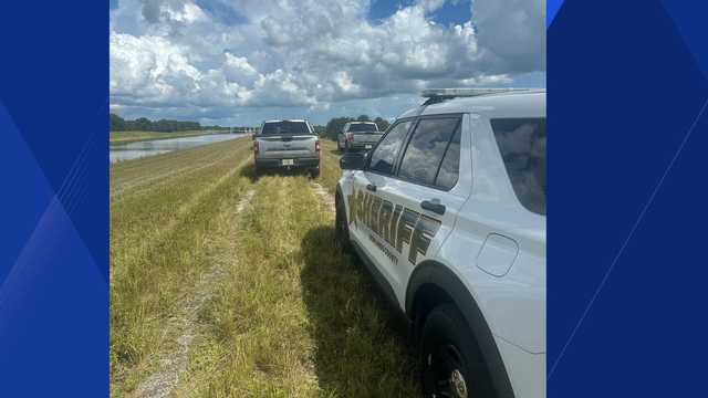 2 men, 2 dogs die after apparent lightning strike, Florida deputies say