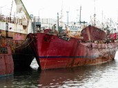 Con un nuevo desguace, avanza la recuperación del espacio operativo del puerto
