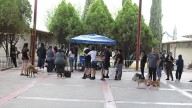 Realizan jornada de esterilización a mascotas en la Estatal 2