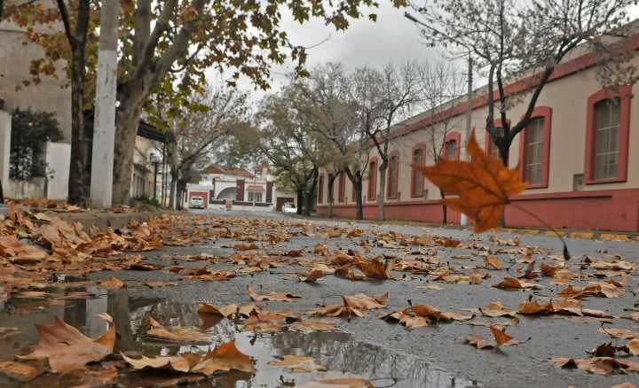 Así estará el clima este fin de semana en Santa Rosa