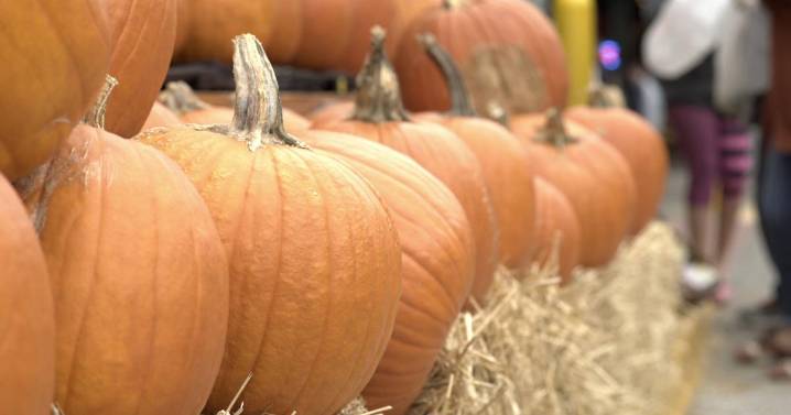 Pumpkins, Parades & More: The Ultimate Guide to Fall Festivals