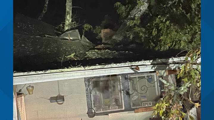 Fallen tree traps person in house on Whitlock Lane