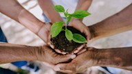 How to celebrate Earth Day
