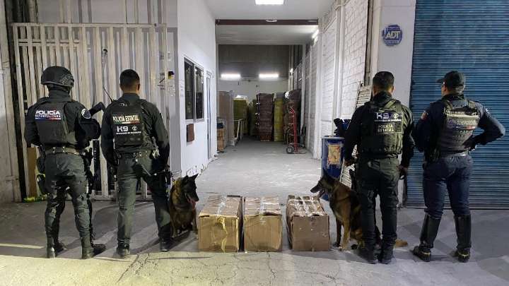 Golpe al narcotráfico: 25 kilos de droga asegurados en Jalisco gracias a una alerta ciudadana